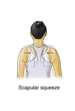 scapular squeeze exercise for neck spasm rehabilitation