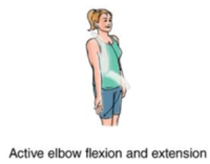 Elbow flexion and extension