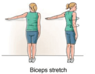 Biceps stretch