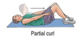partial curl