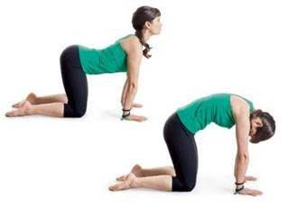 Cat & Camel exercise for low back pain