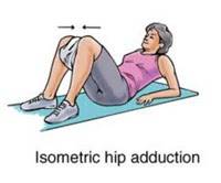 isometric hip adduction