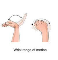 flexion, extension, and side-to-side range of motion exercises