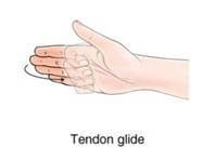 tendon glide exercise