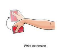 wrist extension exercise